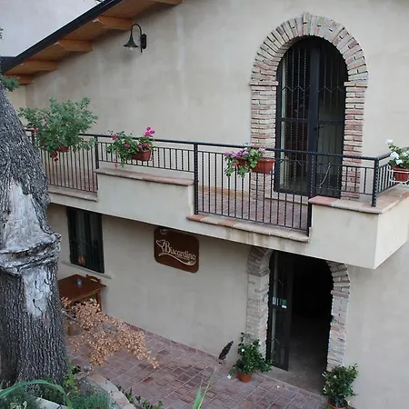 Farm stay Il Biscardino *